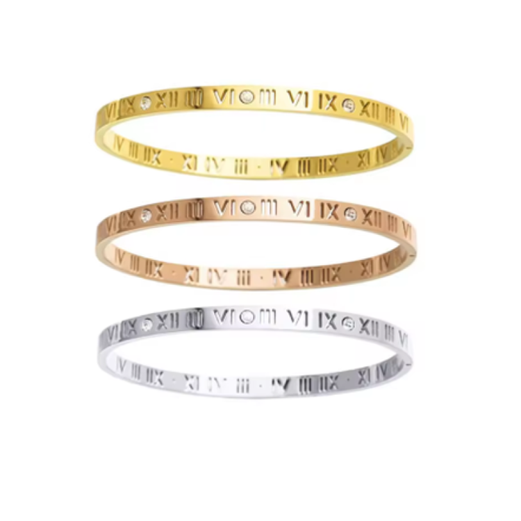 Theodore Stainless Steel Roman Numeral CZ Stone  Bangle